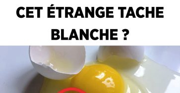 486086807 1063512172480024 2184538809623957845 n