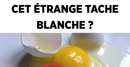 486086807 1063512172480024 2184538809623957845 n