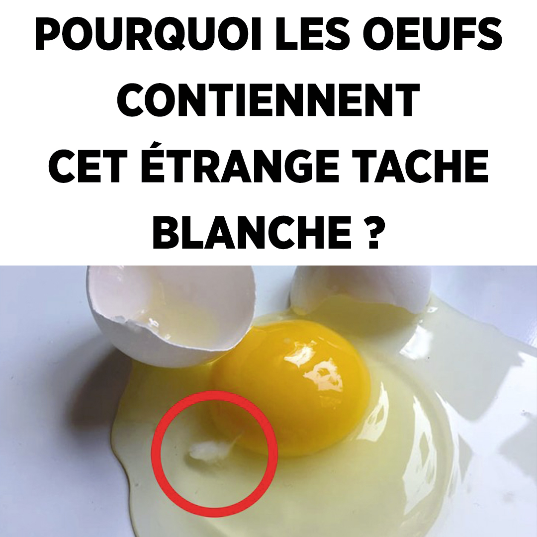 486086807 1063512172480024 2184538809623957845 n