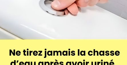 488614124 1072608434903731 6237913923866559711 n