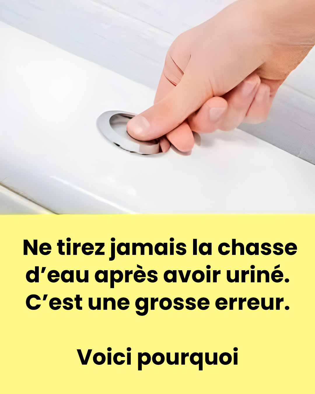 488614124 1072608434903731 6237913923866559711 n