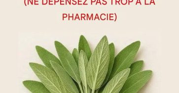 488c492d 1fa9 4421 b7d5 c8a3842637c1