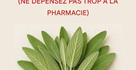 488c492d 1fa9 4421 b7d5 c8a3842637c1