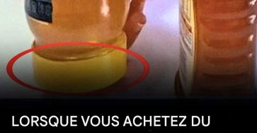 491609455 640646248757240 7444159208898559794 n