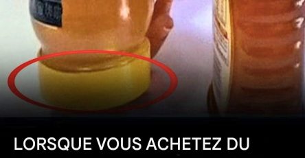 491609455 640646248757240 7444159208898559794 n