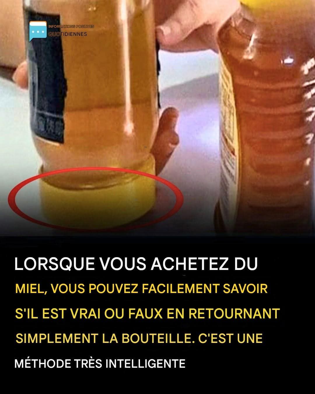 491609455 640646248757240 7444159208898559794 n