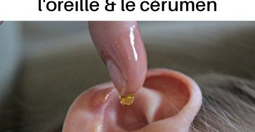 502468832 1105619338265180 2069248651901456762 n