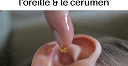 502468832 1105619338265180 2069248651901456762 n