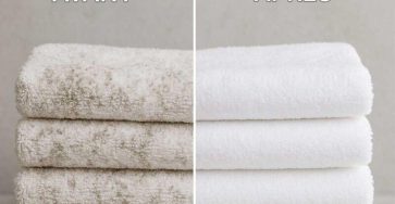 504806319 1141439378027441 8578998846598219221 n 1 800x840 1 (1)