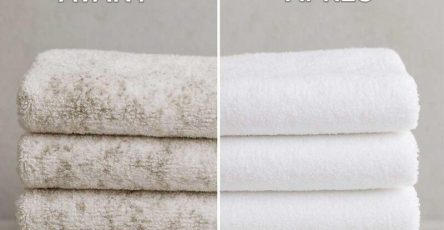 504806319 1141439378027441 8578998846598219221 n 1 800x840 1 (1)