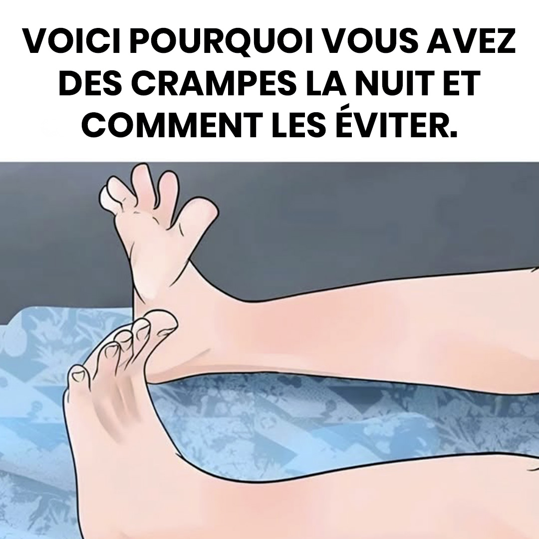 505711322 1126989419465632 315442107044483948 n