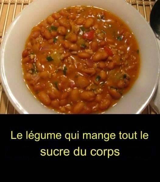 507990559 730266166067761 2601876677456657780 n