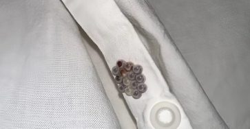 514094943 1265800145139718 2145170051755045282 n 1 1370x1536