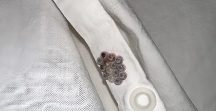 514094943 1265800145139718 2145170051755045282 n 1 1370x1536