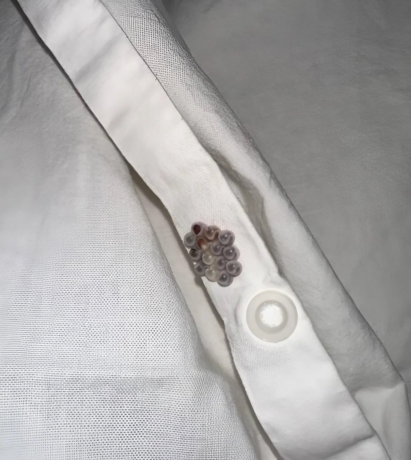 514094943 1265800145139718 2145170051755045282 n 1 1370x1536