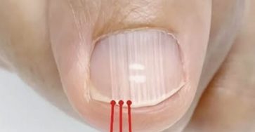 518122320 733176892674978 1561922784875615528 n 4