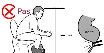 521845228 686115964460675 3908916580017728322 n 1