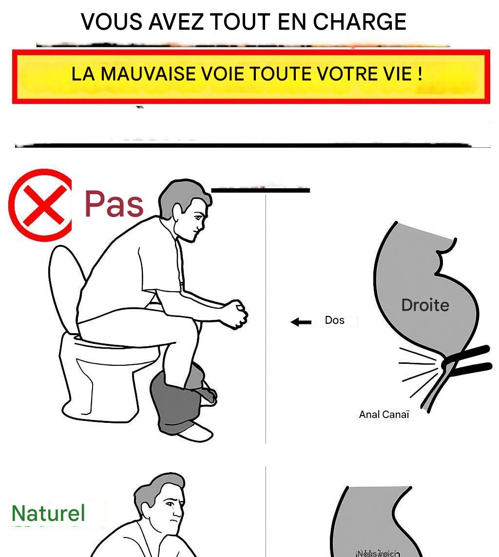 521845228 686115964460675 3908916580017728322 n 1