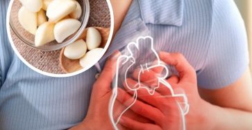 525663463 122228120744089999 2780702734138483461 n e1758376332518