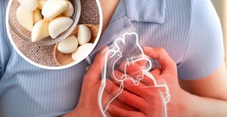 525663463 122228120744089999 2780702734138483461 n e1758376332518