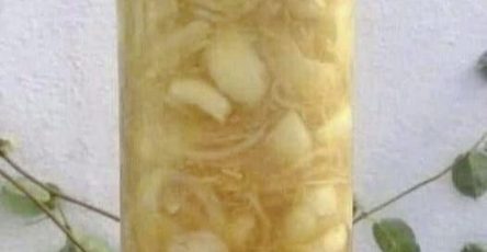 527024045 1170575441773696 5756469976058044862 n