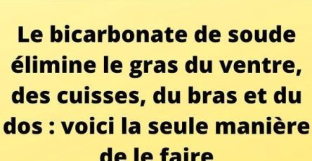 527986577 751790984447022 1774683484496669978 n