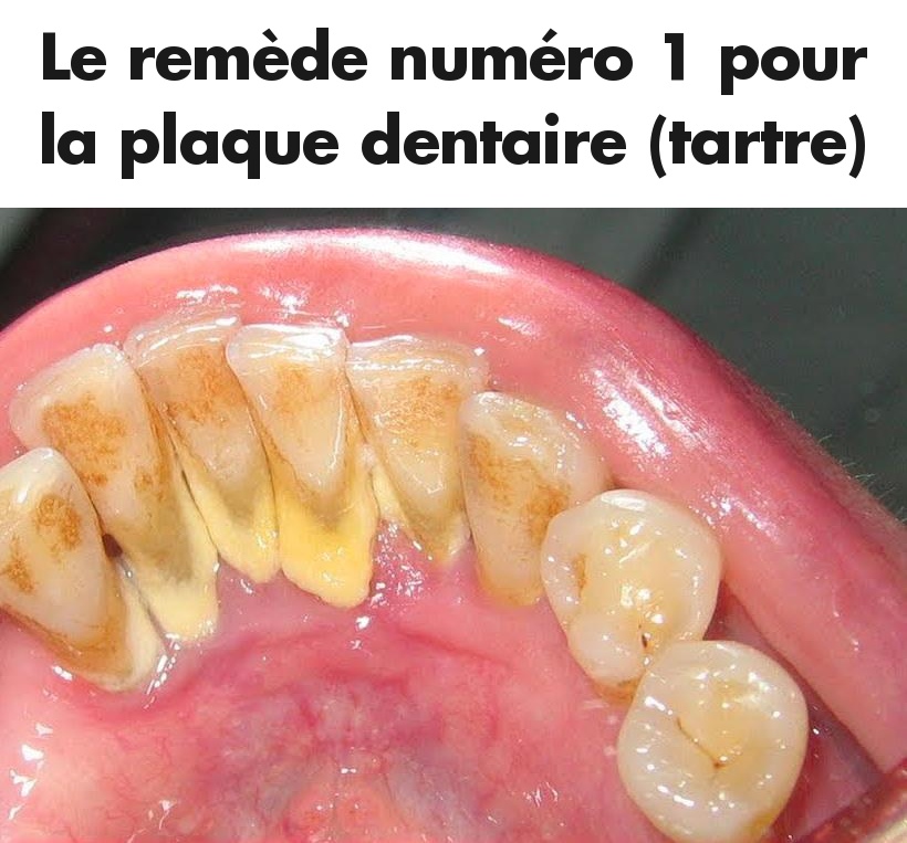 533483391 122186367368442225 4447405085649450298 n