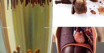 549413924 1212516194246287 6760744626024665307 n