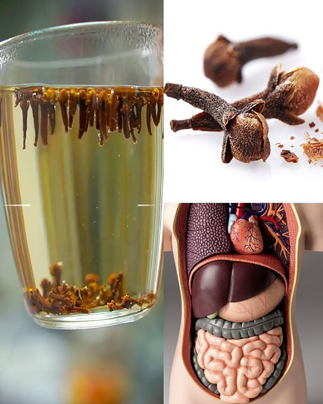 549413924 1212516194246287 6760744626024665307 n