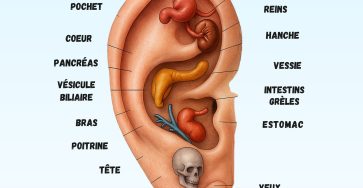 552903762 122150171870638922 7099485352765797755 n