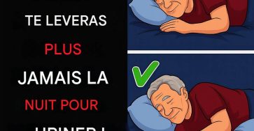 555488624 1326965732557534 8541475903166142373 n