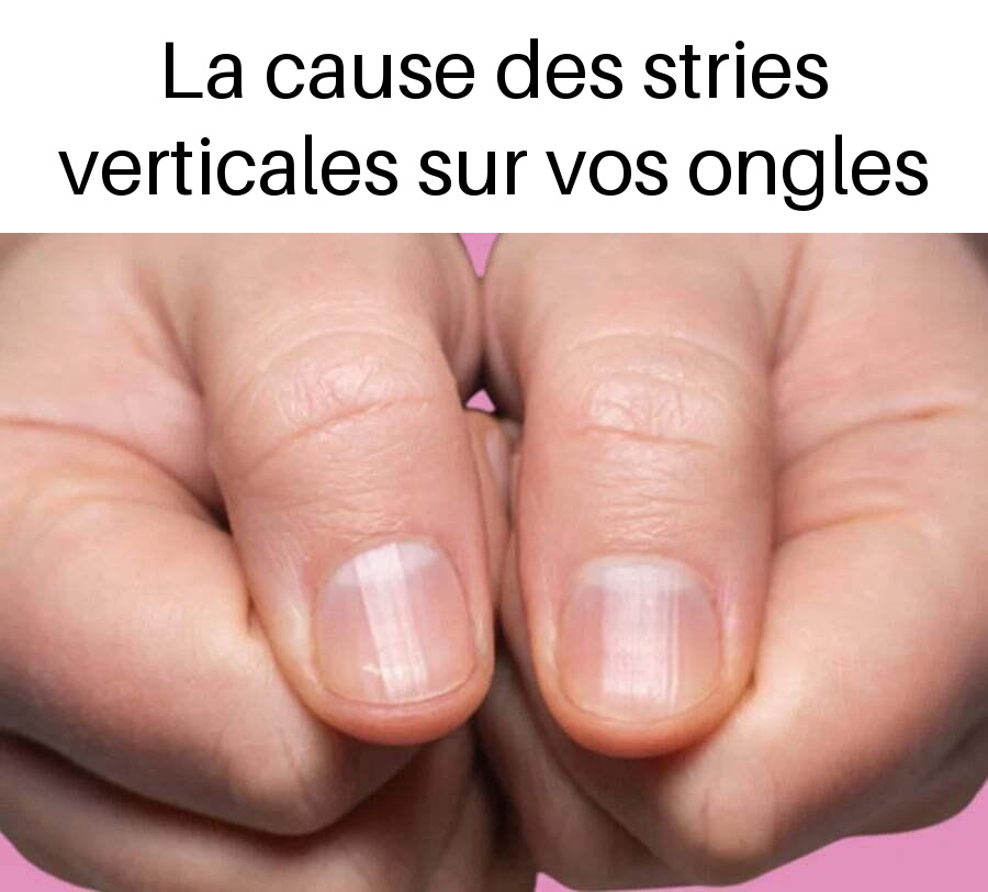 555949567 1212036234290156 8833779919460174469 n