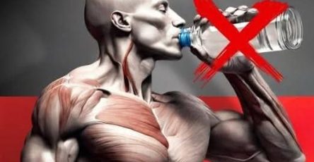 557632816 1321829279566570 7210712097792808813 n