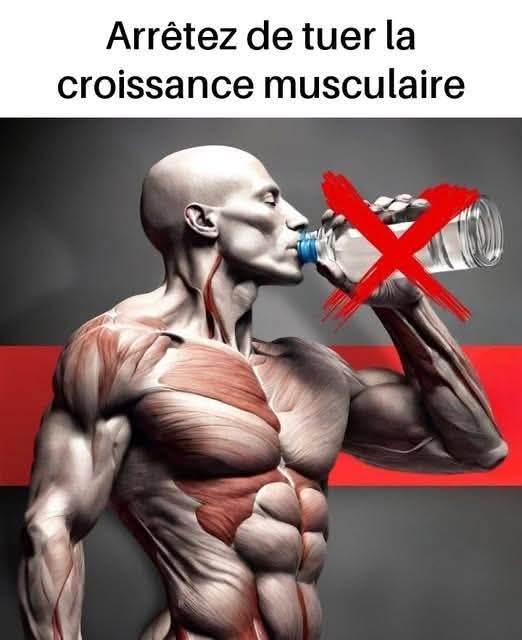 557632816 1321829279566570 7210712097792808813 n