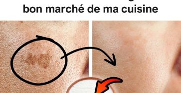 557665280 2167005283828318 6995944877347550251 n