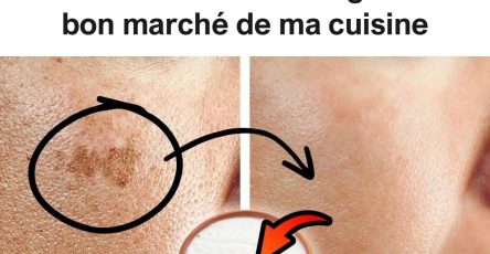 557665280 2167005283828318 6995944877347550251 n