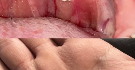 557910280 1870468017184582 591719138901169202 n