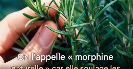 592966194 122231813438102037 870764511596477873 n