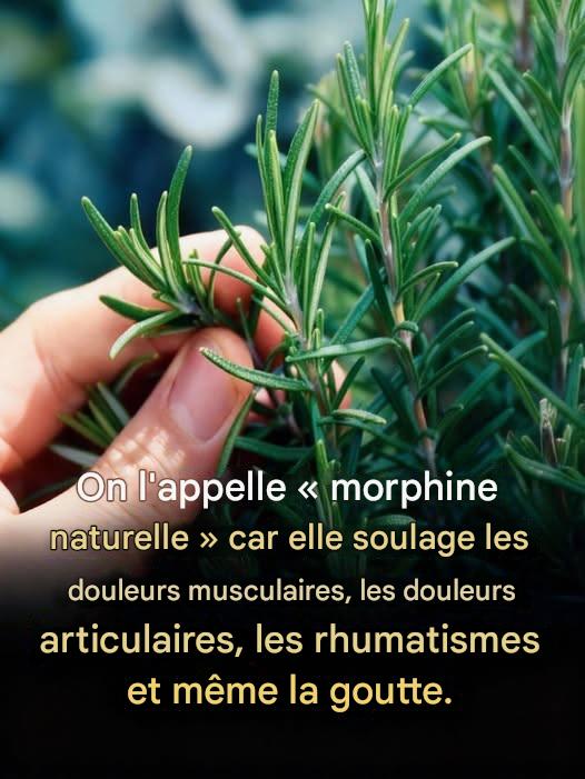 592966194 122231813438102037 870764511596477873 n