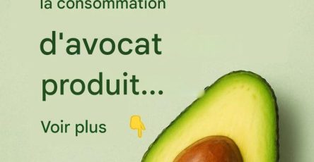 594075333 1413994200119275 5858209660123777538 n