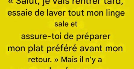 597305699 122232930422102037 6141497142668323460 n 1
