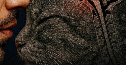 604539908 798204689921178 4185144802175457686 n