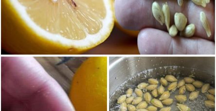 605647120 1299495132215059 3258996664842614127 n