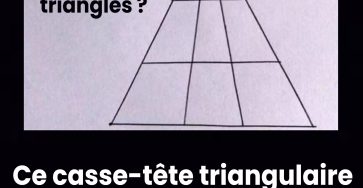 605725116 1294542306043675 1398780610131170031 n