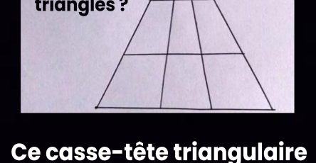605725116 1294542306043675 1398780610131170031 n