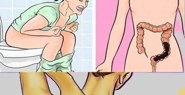 606015838 1389303992822695 5450086227355012122 n (1)