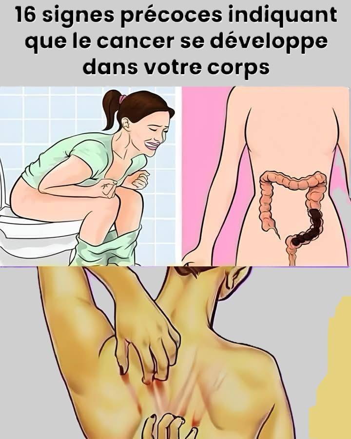 606015838 1389303992822695 5450086227355012122 n (1)