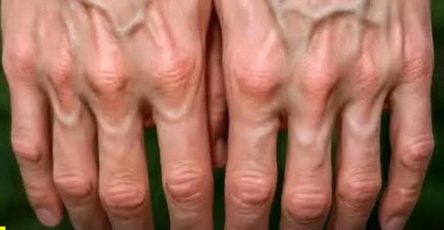 607392562 845526068111621 8342083009947498811 n