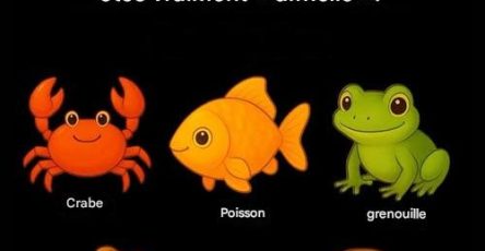 608904043 122098317897200124 783166815901101295 n