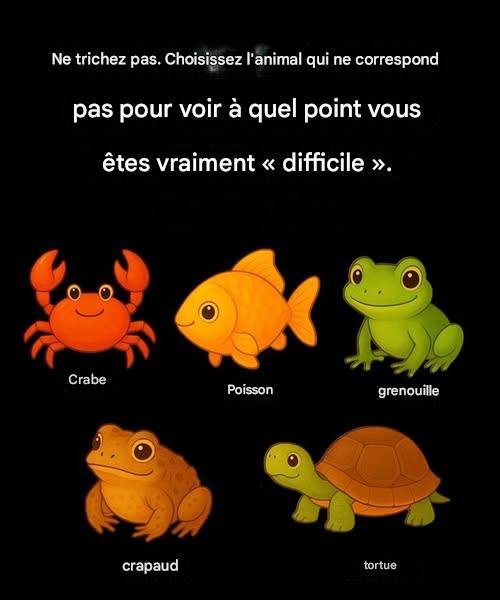 608904043 122098317897200124 783166815901101295 n